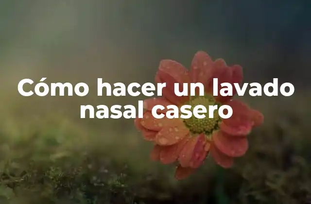 Cómo Hacer un Lavado Nasal Casero