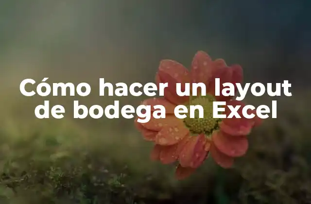 Cómo Hacer un Layout de Bodega en Excel