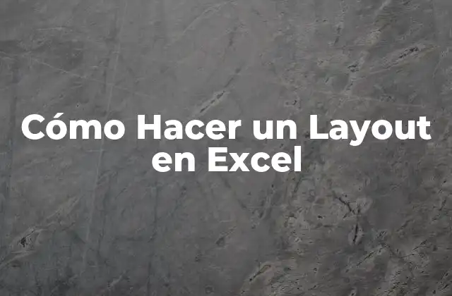 ¿Qué es un Layout en Excel?