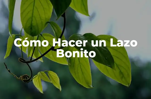 Cómo Hacer un Lazo Bonito 2 Cómo Hacer un Lazo Bonito