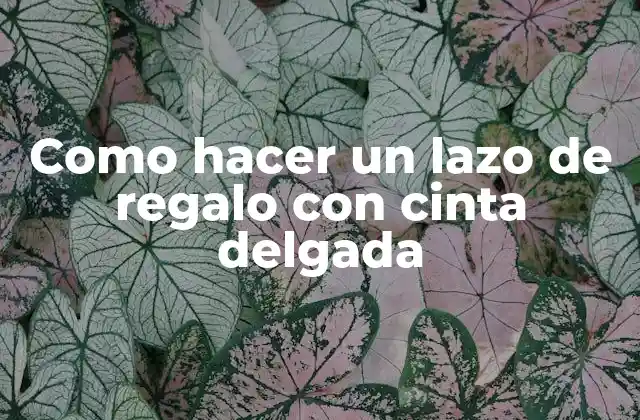 Como Hacer un Lazo de Regalo con Cinta Delgada