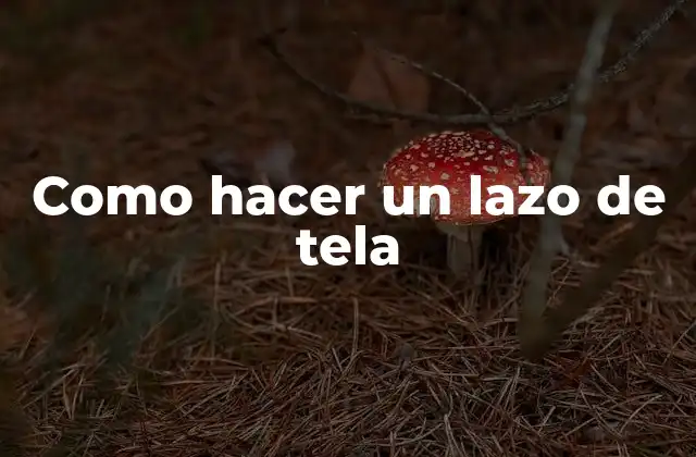 Como Hacer un Lazo de Tela