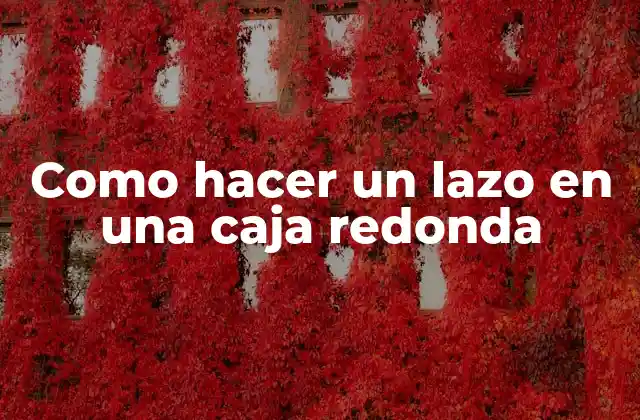 Como Hacer un Lazo en una Caja Redonda