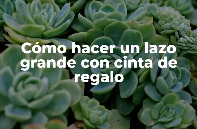 Cómo Hacer un Lazo Grande con Cinta de Regalo