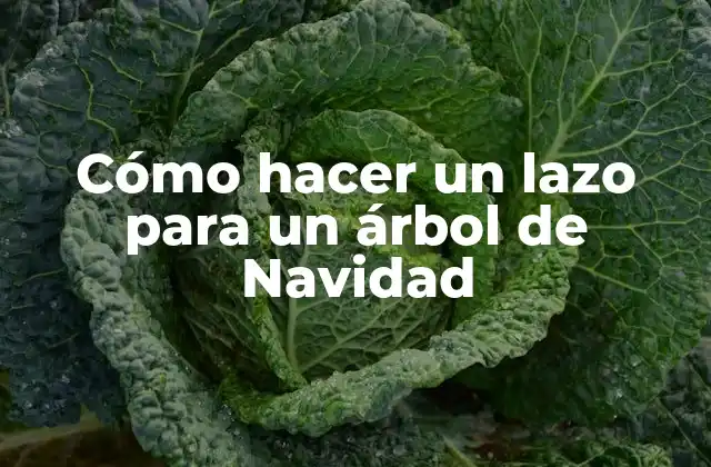 Cómo Hacer un Lazo para un Árbol de Navidad