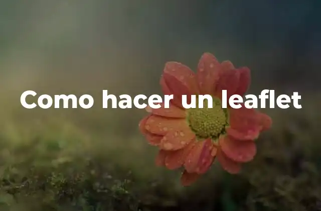 Como Hacer un Leaflet