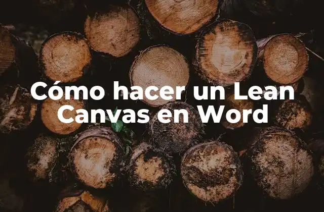 Cómo Hacer un Lean Canvas en Word
