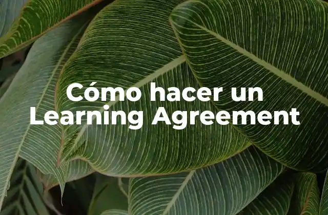 Cómo Hacer un Learning Agreement