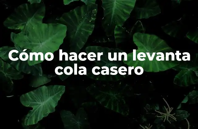 Cómo Hacer un Levanta Cola Casero 2 ¿Qué es un levanta cola casero?