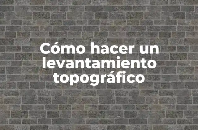 Cómo Hacer un Levantamiento Topográfico