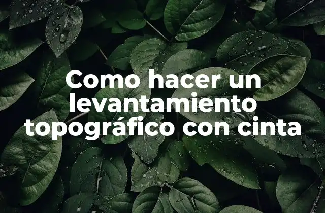 Como Hacer un Levantamiento Topográfico con Cinta