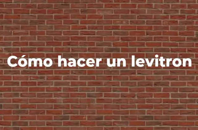 Cómo Hacer un Levitron