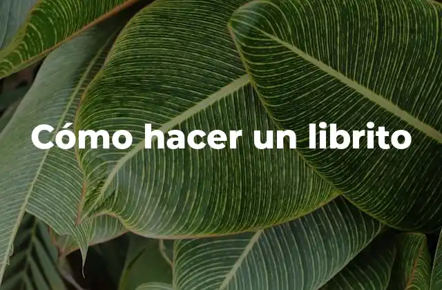 Cómo Hacer un Librito