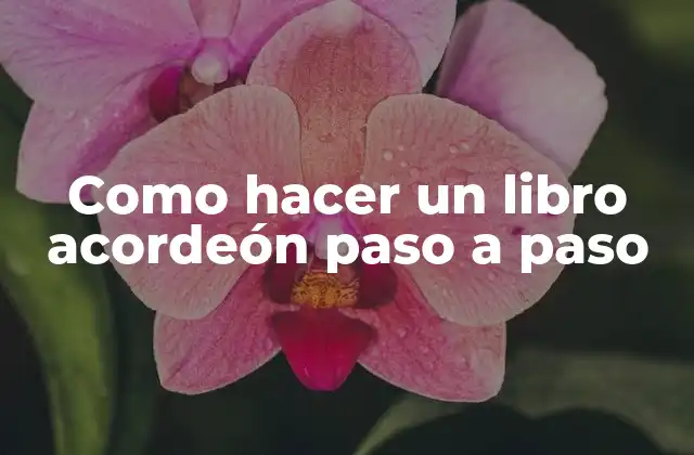 Como Hacer un Libro Acordeón Paso a Paso 2 ¿Qué es un libro acordeón?