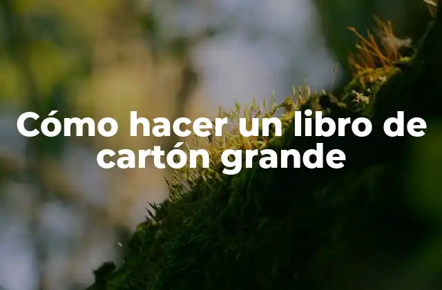 Cómo Hacer un Libro de Cartón Grande