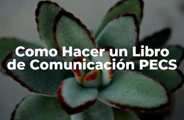 Como Hacer un Libro de Comunicación Pecs 2 Qué es un Libro de Comunicación PECS