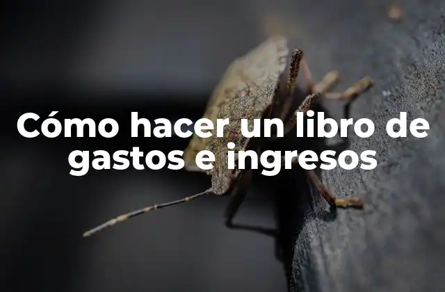 Cómo Hacer un Libro de Gastos e Ingresos 2 Cómo hacer un libro de gastos e ingresos