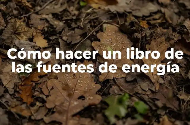 Cómo Hacer un Libro de las Fuentes de Energía