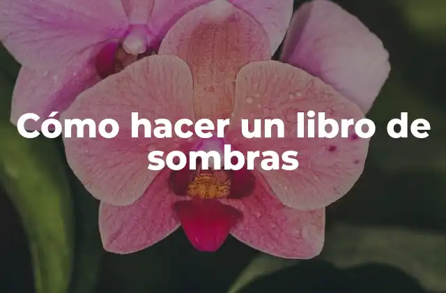 Cómo hacer un libro de sombras