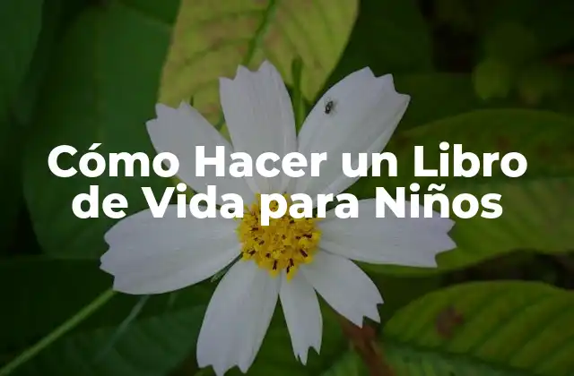 Cómo Hacer un Libro de Vida para Niños