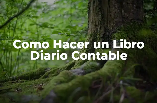 ¿Qué es un Libro Diario Contable?