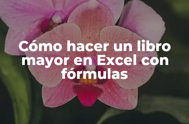 Cómo hacer un libro mayor en Excel con fórmulas