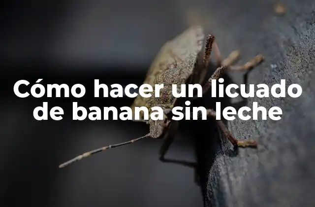 Cómo Hacer un Licuado de Banana sin Leche