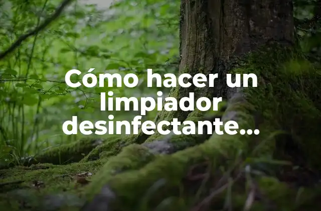 Cómo Hacer un Limpiador Desinfectante Multiusos en Líquido