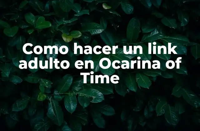 Como Hacer un Link Adulto en Ocarina Of Time