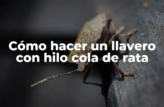 Cómo Hacer un Llavero con Hilo Cola de Rata