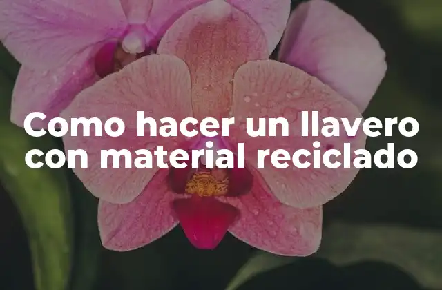 Como Hacer un Llavero con Material Reciclado