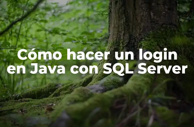 Cómo Hacer un Login en Java con Sql Server