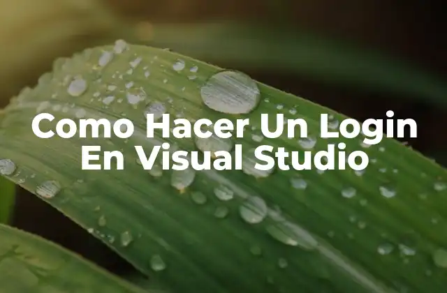 Como Hacer un Login en Visual Studio