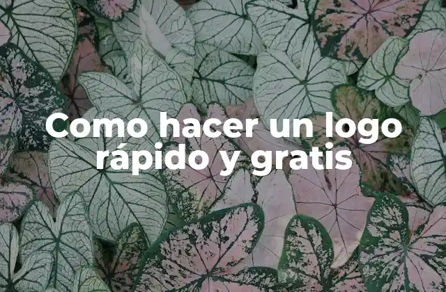 Como Hacer un Logo Rápido y Gratis