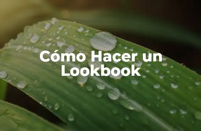 Cómo Hacer un Lookbook