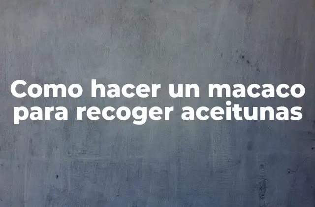 Como Hacer un Macaco para Recoger Aceitunas
