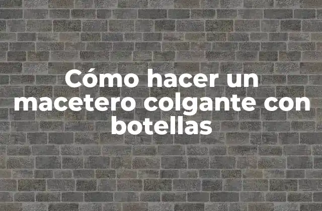 Cómo Hacer un Macetero Colgante con Botellas
