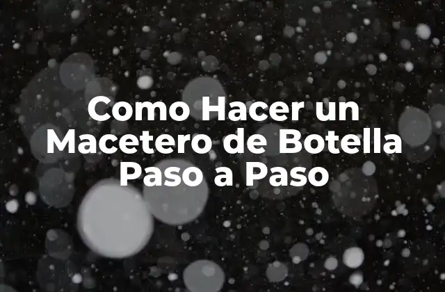 Como Hacer un Macetero de Botella Paso a Paso 2 ¿Qué es un Macetero de Botella y para Qué Sirve?