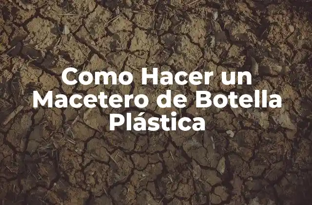 Como Hacer un Macetero de Botella Plástica