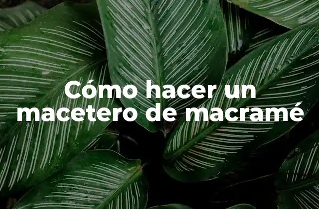 Cómo Hacer un Macetero de Macramé