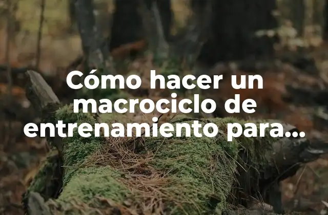 Cómo Hacer un Macrociclo de Entrenamiento para Fútbol