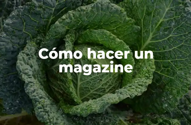 Cómo Hacer un Magazine