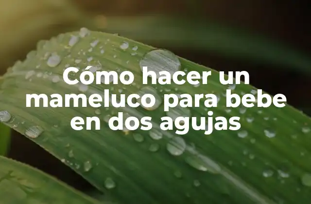 Cómo Hacer un Mameluco para Bebe en Dos Agujas