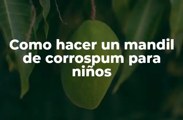 ¿Qué es un mandil de corrospum y para qué sirve?