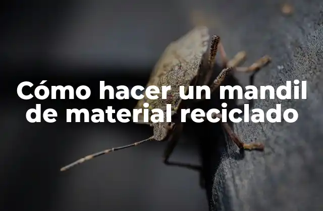 Cómo Hacer un Mandil de Material Reciclado 2 Cómo hacer un mandil de material reciclado