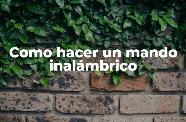 Como Hacer un Mando Inalámbrico