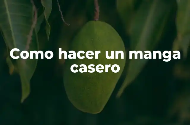 Como Hacer un Manga Casero