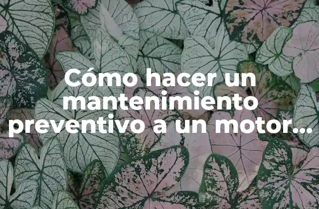 Cómo Hacer un Mantenimiento Preventivo a un Motor Eléctrico