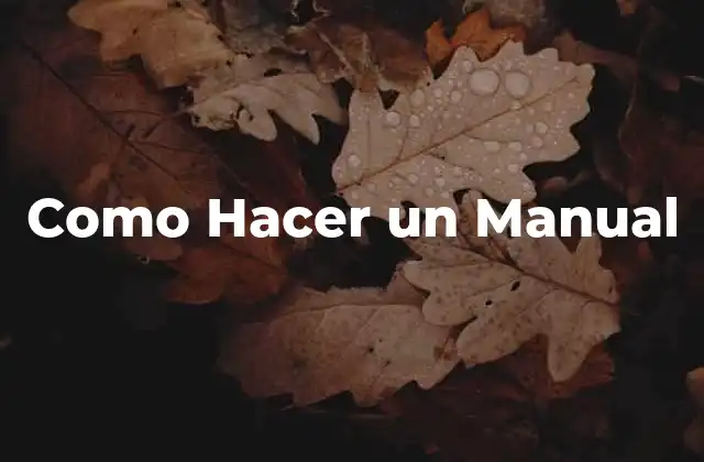 Como Hacer un Manual 2 Como Hacer un Manual