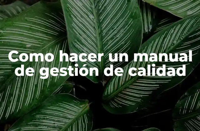 Como Hacer un Manual de Gestión de Calidad
